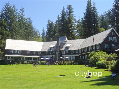 10 BEST Things to Do at Lake Quinault Lodge