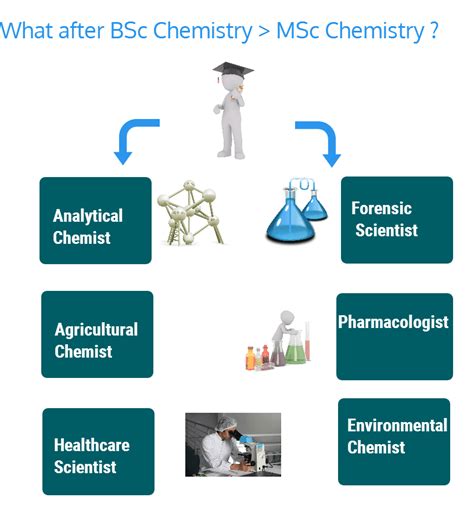 Post Graduation Career Opportunities In Chemistry Epravesh