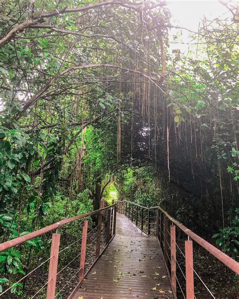 105 fotos de Fernando de Noronha que conquistarão o seu coração