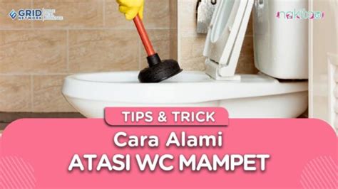 Cara Alami Atasi Wc Mampet Bisa Pakai Garam Roto Rooter Drain