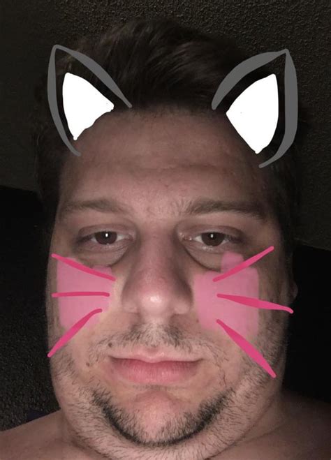 uwu kitten pet : r/Suncracker