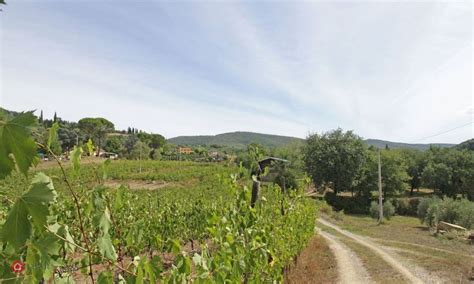 Rustici Casali Con Giardino Privato In Vendita A Arezzo In Zona Centro