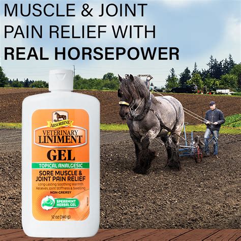 Absorbine For Horses Liniment Gel 12 Oz Muscle And Joint Relief