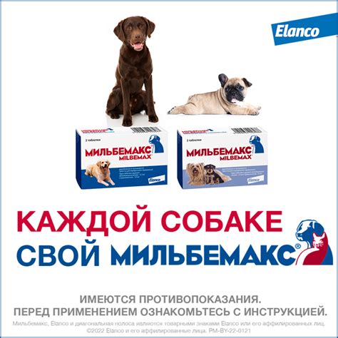 МИЛЬБЕМАКС Elanco для собак 5-25кг 2 таблетки