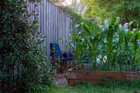 Our Simple And Meaningful Life In The Veggie Patch