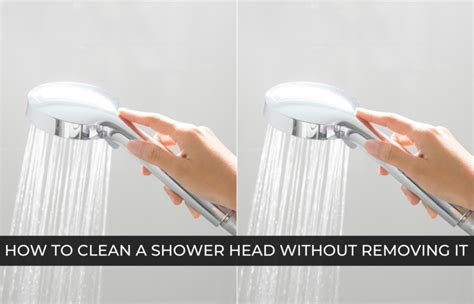 How To Clean A Shower Head Without Removing It Full Circle With Jess