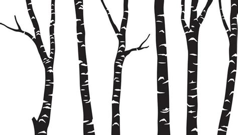 Birch Tree Vector Art, Icons, and Graphics for Free Download