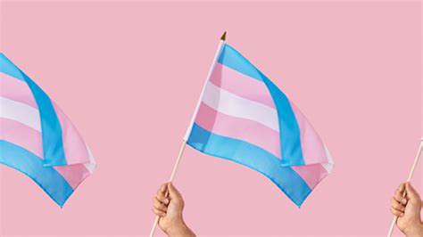 Acon Announces New Trans And Gender Diverse Health Advisory Group Sbs