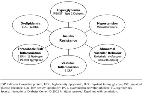 Theoretical Relationship Of Insulin Resistance To Other Features Of The