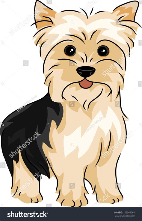 Illustration Featuring Yorkshire Terrier Stock Vector Royalty Free