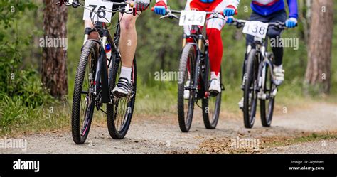 Group Athletes Cyclists Riding Cross Country Cycling Forest Trail