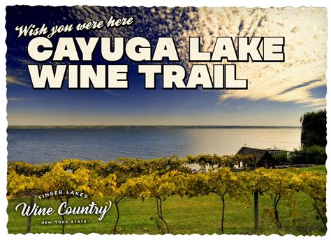 Cayuga Lake Wine Trail Events 2025 Lynn Justine
