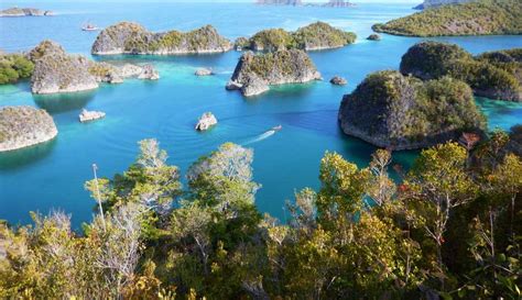 KKP Selidiki Kerusakan Terumbu Karang Raja Ampat Akibat Kapal Kandas