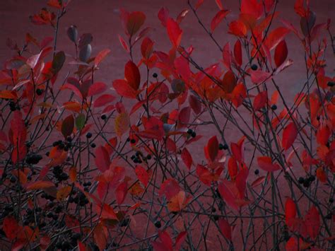 October 3 Stock By Photoframa On Deviantart
