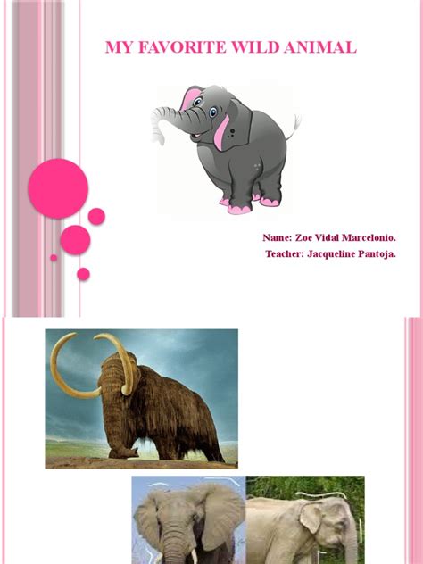 My Favorite Wild Animal Pdf