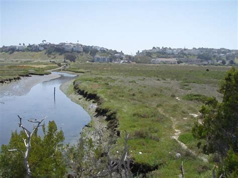 Ballona Wetlands - Alchetron, The Free Social Encyclopedia