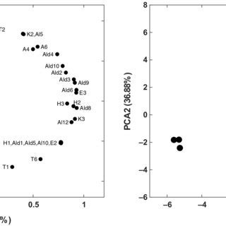 2DPCA Plots Of The VOCs Profiles Of The Three EVOOs The Loadings