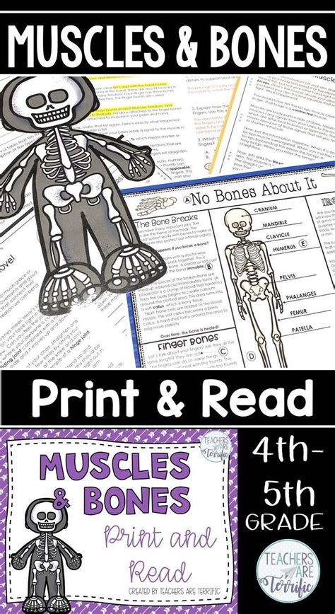 Muscles And Bones Comprehension Reading Passages Elementary Print And Read