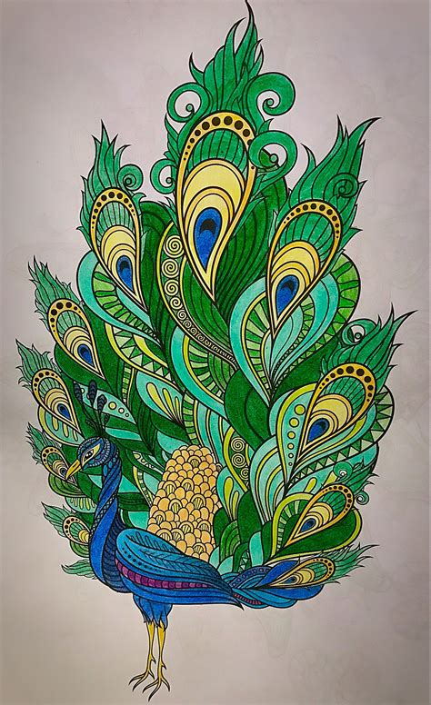 Beautiful Peacock Drawing At Getdrawings Free Download