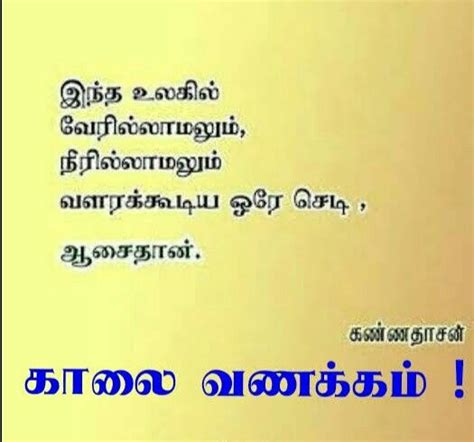 Pin by Nagarethinam Kannan on தமழ பனமழகள in 2024 Good morning