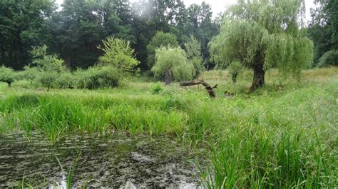 Ffh Gebiet Nr Zeitzer Forst Natura