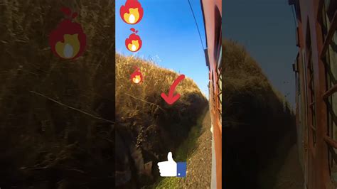 Amazing Capture On The Train 😱🚅🚅👌👌 Reilway Youtubeshorts Shorts