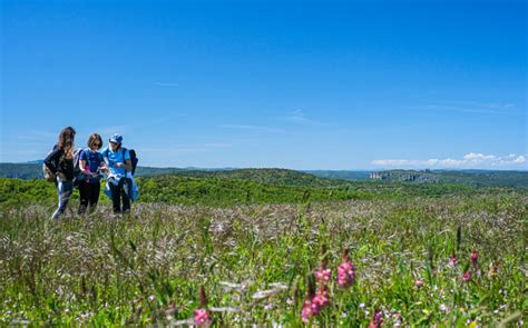 Le Tour Du Larzac Par Le Gr D Office De Tourisme Larzac Vall Es