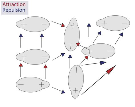 Dipole Interactions | Brilliant Math & Science Wiki