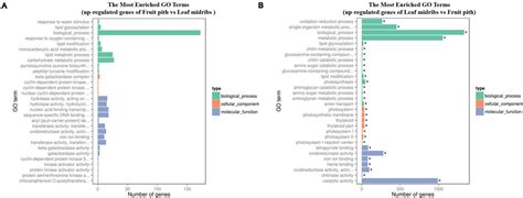 Frontiers A Significantly High Abundance Of Candidatus Liberibacter