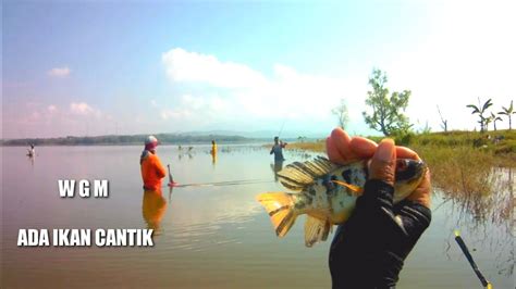 Mancing Nyobok Di Wgm Selain Ada Ikan Cantik Di Pinggiran Sudah