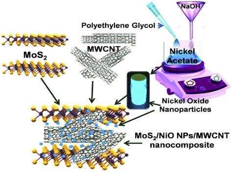 Schematic Illustration For The Synthesis Of Mos 2 Nio Npsmwcnt