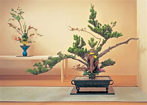 Nghệ thuật cắm hoa ikebana Nhật Bản: Các kỹ thuật cần biết