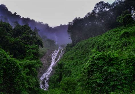 Vagamon Tour Packages From Chennai Chennai To Vagamon Holiday Packages