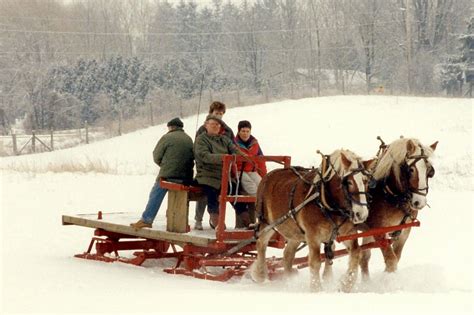 Flashback Connie And Tara Pulling My Bob Sleigh Bobsleigh Work Horses