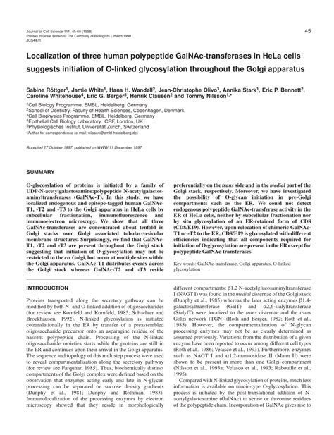 Pdf Localization Of Three Human Polypeptide Galnac Transferases In Hela Cells Suggests