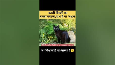 काली बिल्ली🐈‍⬛ का रास्ता काटना शुभ है या अशुभ 😱🔥 जानिये 🤔सचाई Ll🤞