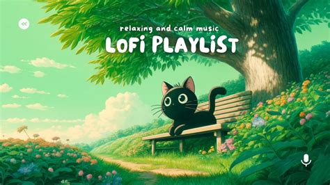 Playlist Cat S Bench Lullabies Serene Lofi Sounds For Deep Focus Lofi