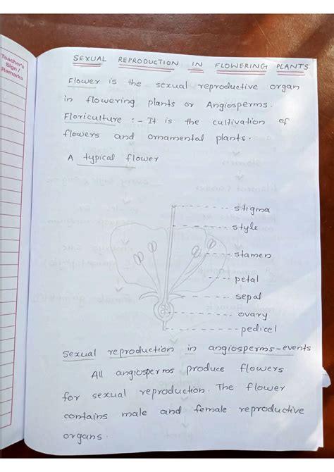 Solution Botany Sexual Reproduction In Flowering Plants Studypool