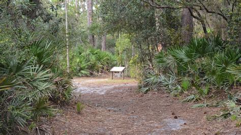 Lake Lizzie Conservation Area Florida Hikes