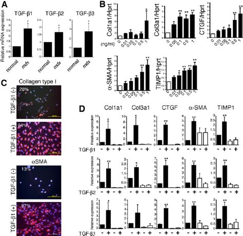 Tgf B Exclusively Induces Expression Of Fibrosis Markers In Pdgfr A