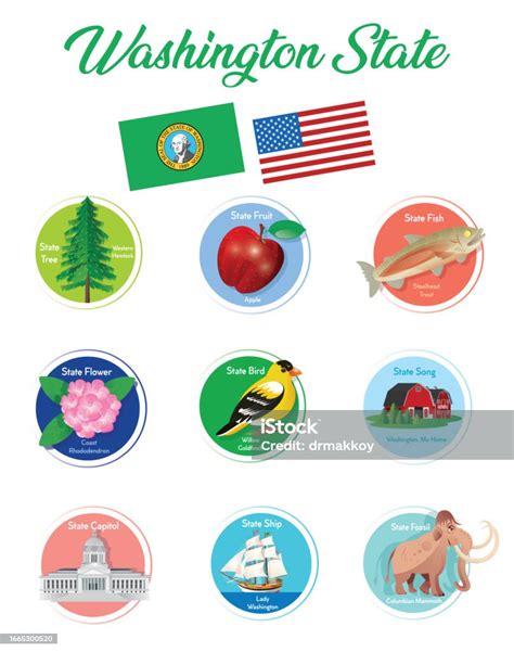 Washington State Symbols Stock Illustration - Download Image Now ...