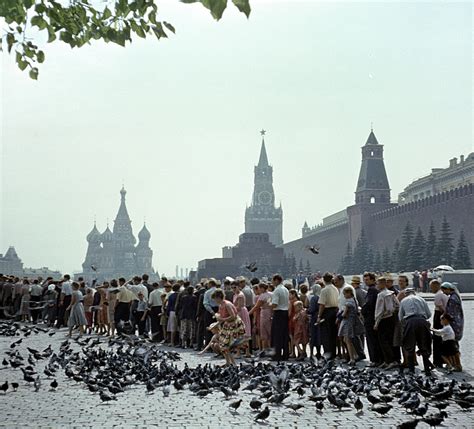 Russian Store Lines