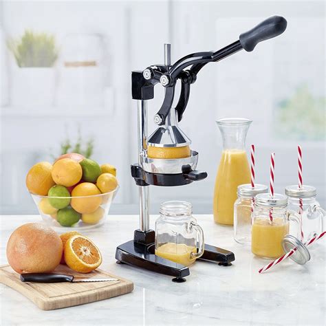 Top 7 Best Manual Juicers Reviews And Buying Guide 2019 Fruit Juice