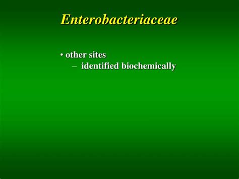 Ppt Enterobacteriaceae Vibrio Campylobacter Helicobacter