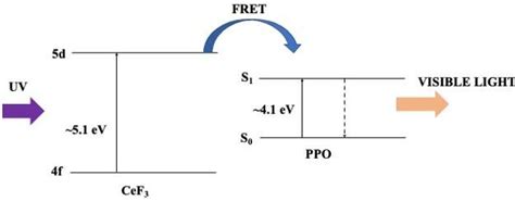 Mechanism Of Fluorescence Resonance Energy Transfer Fret From Cef 3