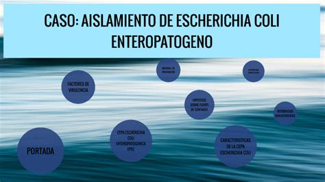 Caso Aislamiento De Escherichia Coli Enteropatogeno By Juan De Dios