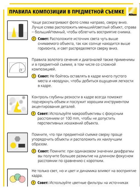 Правила Композиции В Фотографии Telegraph