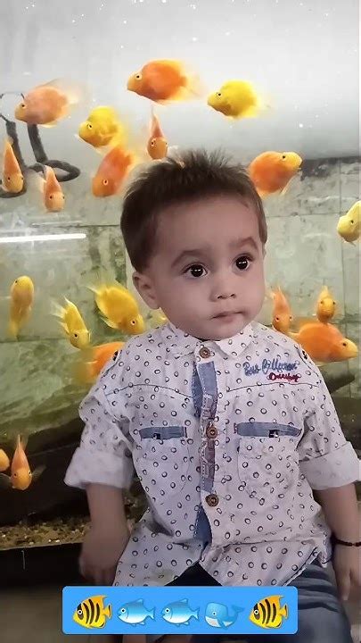 Fish 🐠🐟🐠 Beautiful Moments 😍💗 Youtube