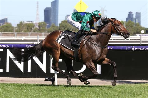 Underwood Stakes 2023 Field Betting Update Alligator Blood Favourite