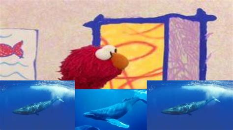 Elmos World Whales Elmos World Fanon Wiki Fandom Powered By Wikia